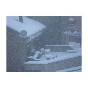 neige14.jpg