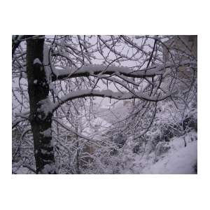 neige16.JPG