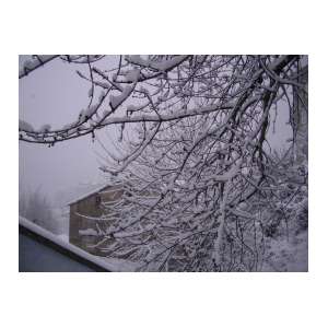 neige17.JPG