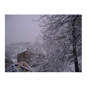 neige18.JPG