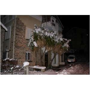 neige33.JPG