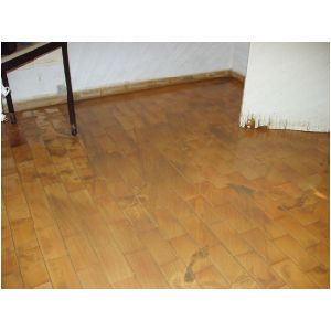 P6.jpg